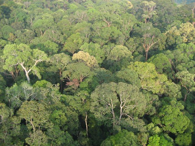 日本の生物多様性 : 自然と人との共生(自然環境研究センター 編